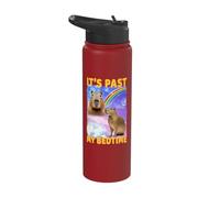 It's Past My Bedtime Capybara Stainless Steel Insulated Water Bottle