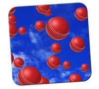 It's Raining Cricket Balls Coaster/Pack of Coasters