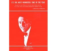 It's the Most Wonderful Time of the Year (Andy Williams)