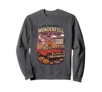 It's The Most Wonderful Time Of Year Skeletons Car Sweatshirt