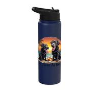 It's Twice As Nice Black Labradors Sunset Stainless Steel Insulated Water Bottle