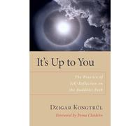 It's Up to You: The Practice of Self-Reflection on the Buddhist Path