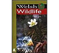 It's Wales: Welsh Wildlife