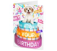 IT'S YOUR BIRTHDAY cute Cavalier King Charles x Bichon Frise Cavachon puppy emerges from giant birthday cake - Birthday card