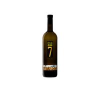 Itsasmendi 7 2022