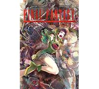Itsuki Kameya - Final Fantasy Lost Stranger, Vol. 9: Volume 9