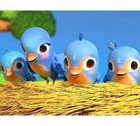 Itsy Bitsy Spider (Birdie Edition)