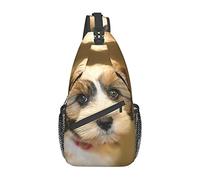 IUBBKI Dog Training Killer Whale Crossbody Bag Men'S Chest Cross Body Bag, Light, For Hiking And Travel