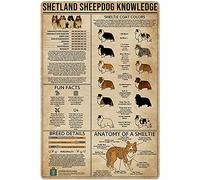 IUBBKI Shetland Sheepdog Knowledge Dog Knowledge Metal Tin Sign Beared Collie Anatomical Chart Aluminum Poster Farm School Pet Shop Home Kitchen Club Garage Wall Decoration Vintage Plaque 12" x 16"