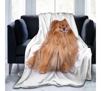IUBBKI Warm Pomeranian Little Dog Lying On Cuteffy Pup Microfiber All Blanket Ultra-Soft Flannel Light Blankets Warm and Comfortable Suitable for All Seasons 60"X50"