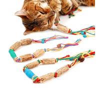 IUHKBH Cat Toys, 2 PCS Chew Ropes with Refillable Natural Catnip, Safe Teeth Cleaning Toy for Indoor Kittens, Interactive Cat Nip Kitty Toys for All Breeds