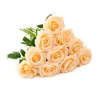 IUKnot Artificial Rose 10pcs Open Flower Bouquet Faux Rose Stems for Wedding Arrangement, Bridal Bouquet, Centerpiece, Fake Faux Silk Flowers (Champagne)