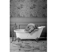IUNTWEIE Animal In The Bathroom Pictures, Black White Animal Bath Picture, Funny Wall Pictures, Prints Canvas Poster, Art, Wall Art, Minimalist Home Decor - Without Frame (30 x 40, Animal -2)