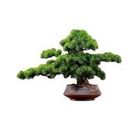 IUokLU Artificial Bonsai Simulation Welcome Pine Entrance Desktop Indoor Bonsai Fake Plants Decorative Hotel Showroom Landscaping