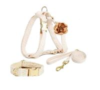 IUOUTG Beige Dog Harness And Leash Set Adjustable Lace Pet Collar With Flower And Quick Release Buckle No Pull Harness For Girl Dog
