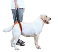 IUOUTG Dog Lift Harness for Back Legs Pet Support Harness Dog Auxiliary Belt Breathable Dog Carry Sling for Help Weak Legs Stand Up Pet Dogs Aid Assist Tool