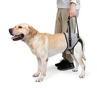 IUOUTG Dog Lift Harness for Large Dogs Soft Padded Adjustable Dog Back Leg Sling Breathable Dog Support Harness Pet Carriers for Old Disabled Dogs