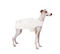 IUOUTG Italian Greyhound Dog Winter Coat, Windproof Warm Dog Vest Snow Jacket With Adjustable Features, Cold Weather Whippet Clothes For Small Medium Dogs