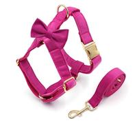 IUOUTG No Pull Dog Vest Harness with Leash Set Front D-Ring Clip Helps Stop Pulling Adjustable Step-in Pet Vest for Small Dog S