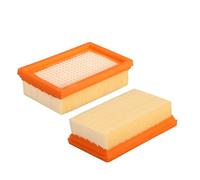 IUSOT 2 Pack Filter Replacement Parts for Karcher MV4 MV5 MV6 WD4 WD5 WD6 Wet and Dry Vacuum Cleaner Accessories, Flat Pleated Filter for kärcher 2.863-005.0 4410, Premium Vacuum Filter