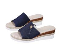 IUYTYSER Ladies Summer Platform Slippers Women'S Beach Slope Heel Hollow Casual Bottom Shoes Sandals Earth Spirit For Women (Blue, 7) Womens Sliders Wedges Leather Black Walking Size 6 8