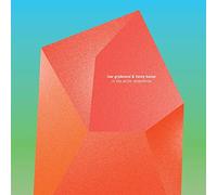 Ivar Grydeland & Henry Kaiser - In The Arctic Dreamtime