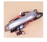 IVCHVYWFG Car Front Rear Left Right Exterior Door Handle Assembly Compaitble for BYD Song Pro DM EV(Gray Front Left)