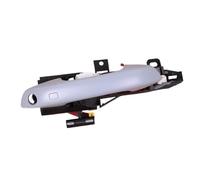 IVCHVYWFG Car Front Rear Left Right Exterior Door Handle Assembly Compaitble for BYD Song Pro DM EV(Primer Front Right)