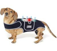 IVDD Back Brace for Dogs, Dog Back Brace for Dachshund Corgi Spine Support, Intervertebral Disc Disease Pain Relief Dog Vest, Breathable Dog Spine Protector Coat (XL)