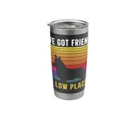 I've Got Friends in Low Places Stainless Steel Insulated Tumbler
