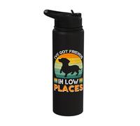 I've got Friends in Low Places Stainless Steel Insulated Water Bottle