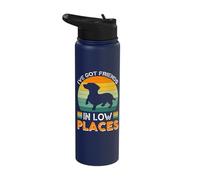 I've got Friends in Low Places Stainless Steel Insulated Water Bottle