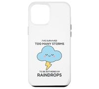 I've Survived Too Many Storms To Be Bothered By Raindrops Case for iPhone 12 Pro Max