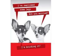 I've Swallowed Some Lego I'm Bricking It! Funny Birthday Card