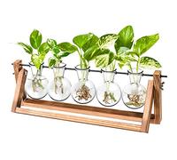 Ivolador Desktop Glass Planter Bulb Vase with Retro Solid Wooden Stand and Metal Swivel Holder for Hydroponics Plants Home Garden Wedding Decor(2 Bulb Vase)