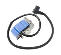 IVOOJA Ignition Coil Fit for Echo Blower PB-601 PB-602 PB-603 PB-60HT PB-610 PB-620 15660108361,15660109860,15660108260