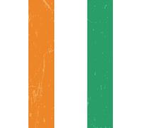 Ivory Coast Flag Journal: Ivory Coast Travel Diary, Côte d'Ivoire Souvenir, lined Journal to write in