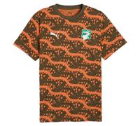 Ivory Coast Men's Personalised 2026 2027 FtblCulture Tee AOP Black | Size: Large Ivory Coast Black L