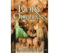 Ivory Orphans [DVD] [NTSC]