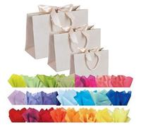 Ivory Vanilla Boutique Luxury Shop Gift Bags & Tissue - Events Bag With Ribbon Tie - 3 SIZES (12 Bags, Ivory Vanilla Large)
