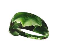 Ivy Blossoms Tree Sports Headband For Men Women Tennis Sweat Band For Workout Sports Headbands Elastic For Running
