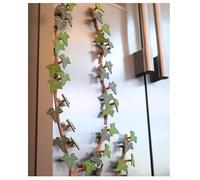 Ivy Fridge Magnet with Articulating Stems, Cute Plant Fridge Magnets, Artificial lvy Vines 3D Print Refrigerator Magnets,Funny Artificial Ivys Home Decoration for Plants Lover