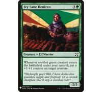 Ivy Lane Denizen