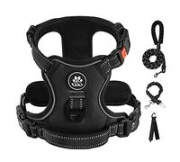 IVY&LANE No Pull Dog Harness for Large Dogs, Dog Vest Harness with Leash, Safety Belt and Storage Strap, Fully Adjustable Harness, 360° Reflective Strip, Soft Handle (Black, L)