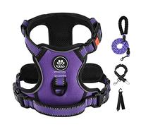 IVY&LANE No Pull Dog Harness, Large, Sporty, Purple, Reflective, Easy to Store