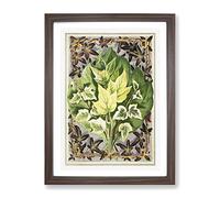 Ivy Leaves By Shirley Hibberd Vintage Framed Print | A4 Walnut Framed Wall Art | Ready to Hang | Classic Floral Picture | Living Room Bedroom Lounge Office