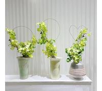 Ivy Plant Seeds, Fast Growing, Decorative Plants Balcony Plants, Shade Plants, Unusual Gifts, Garden Decoration for Outdoor Flowers Garden, Windowsill Decoration, Hanging Plants, 300 Pieces