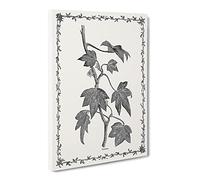 Ivy Pustulata By Shirley Hibberd Vintage Canvas Wall Art Print Ready to Hang, Framed Picture for Living Room Bedroom Home Office Décor, 30x20 Inch (76x50 cm)