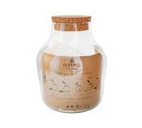 Ivyline Angular Glass Small DIY Terrarium Kit - Waterproof and Sustainable - Terrarium Kit with Charcoal, Gravel, Sand and Rocks - H22cm x D17cm