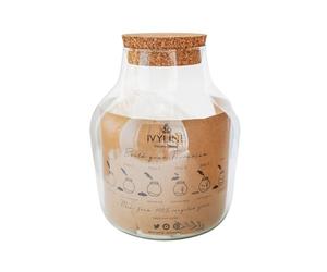 Ivyline Angular Glass Small DIY Terrarium Kit - Waterproof and Sustainable - Terrarium Kit with Charcoal, Gravel, Sand and Rocks - H22cm x D17cm